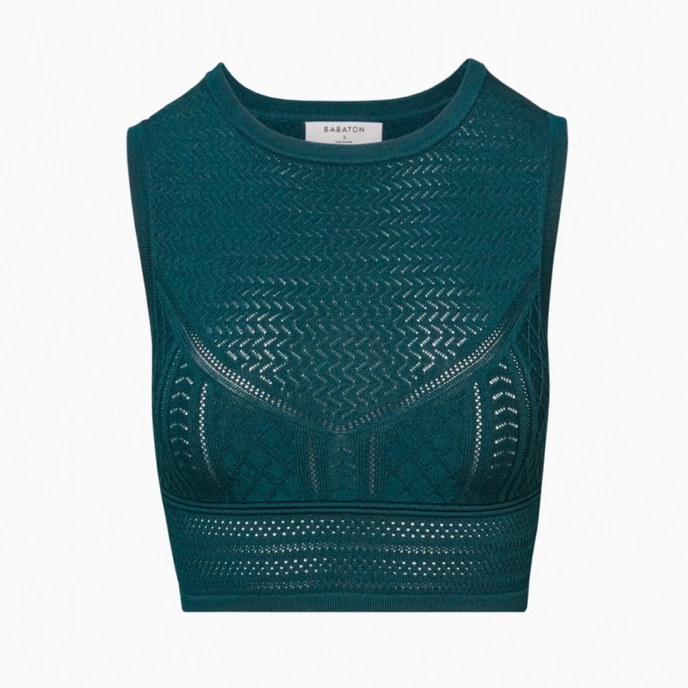 ARITZIA BABTON POINTELLE TANK